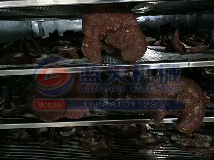 青海熱泵烘干機(jī)用戶現(xiàn)場