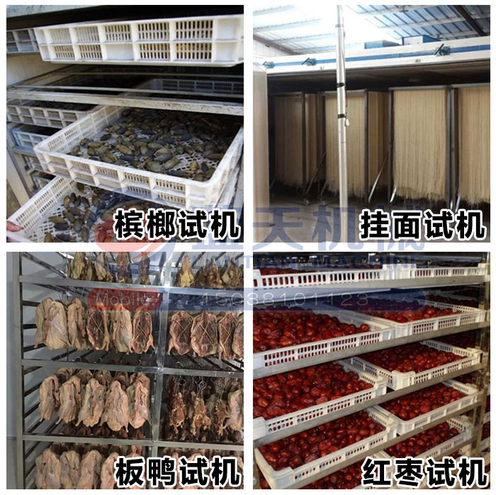 檳榔烘干機(jī)試機(jī)現(xiàn)場(chǎng)